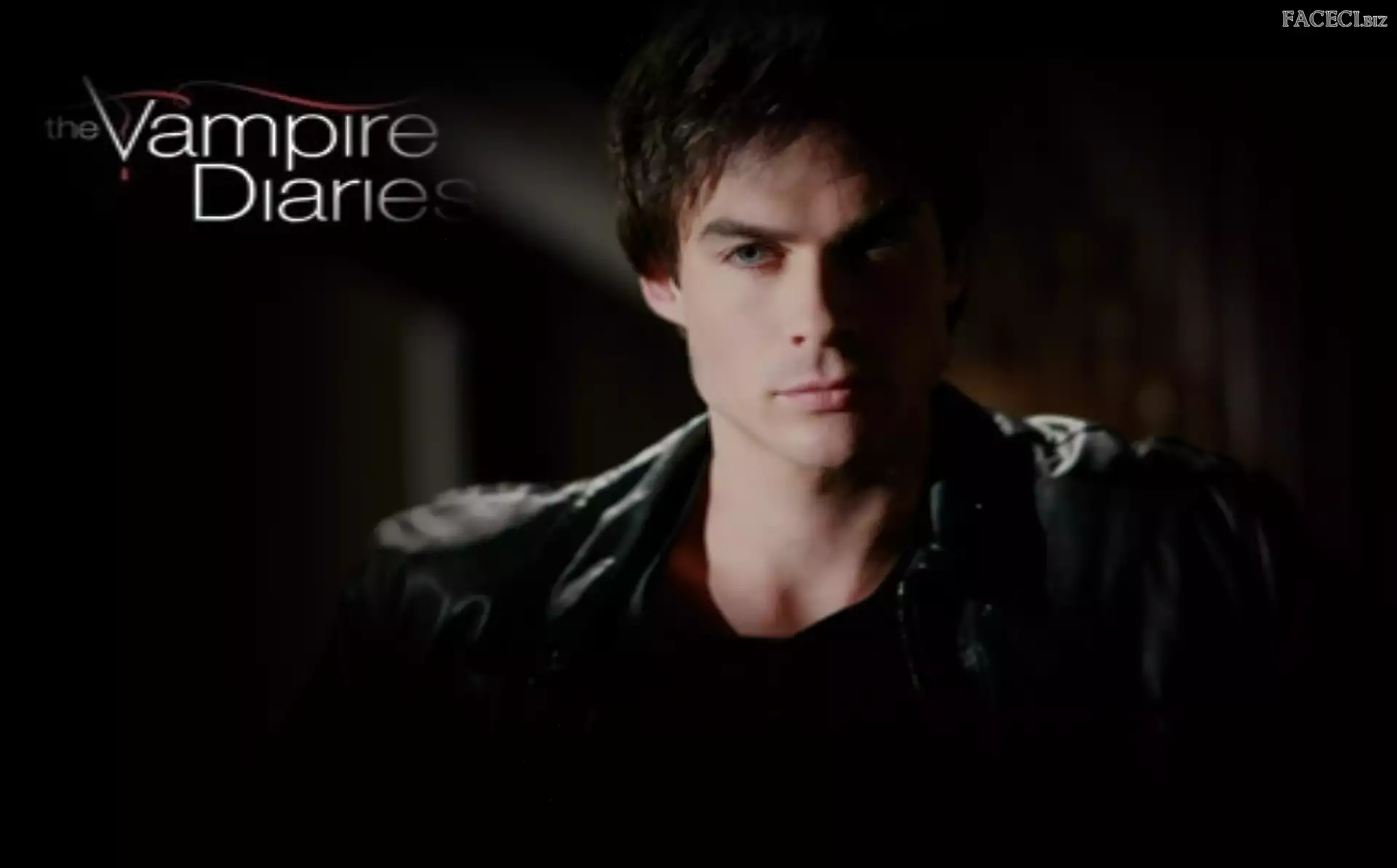 Ian Somerhalder, Pamiętniki wampirów, Vampire Diaries